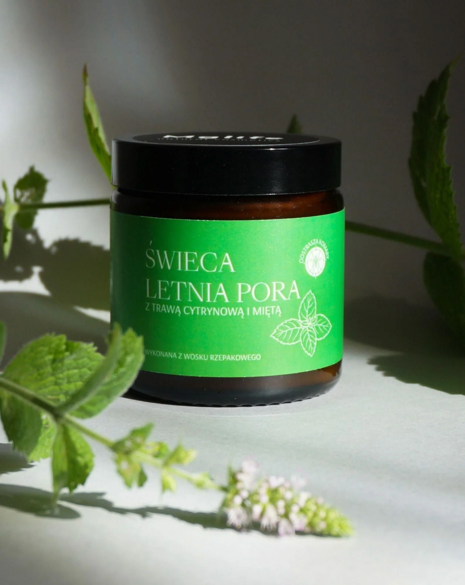 Bougie parfumée à la citronnelle et à la menthe Saison d’été Mglife - Image 2