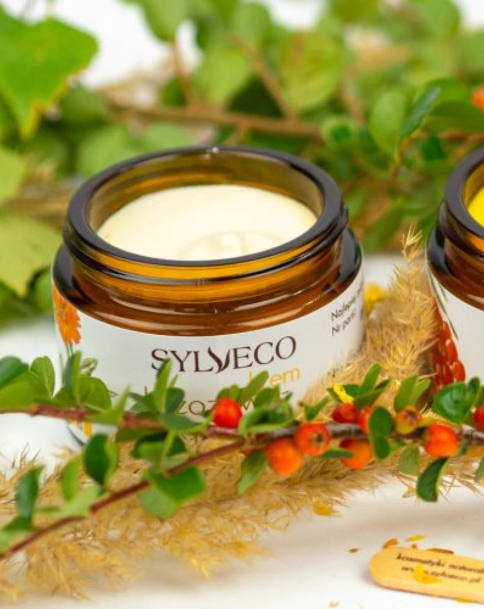Crème apaisante et régénérante au bouleau et au souci à la bétuline pour les peaux sensibles Sylveco - Image 2