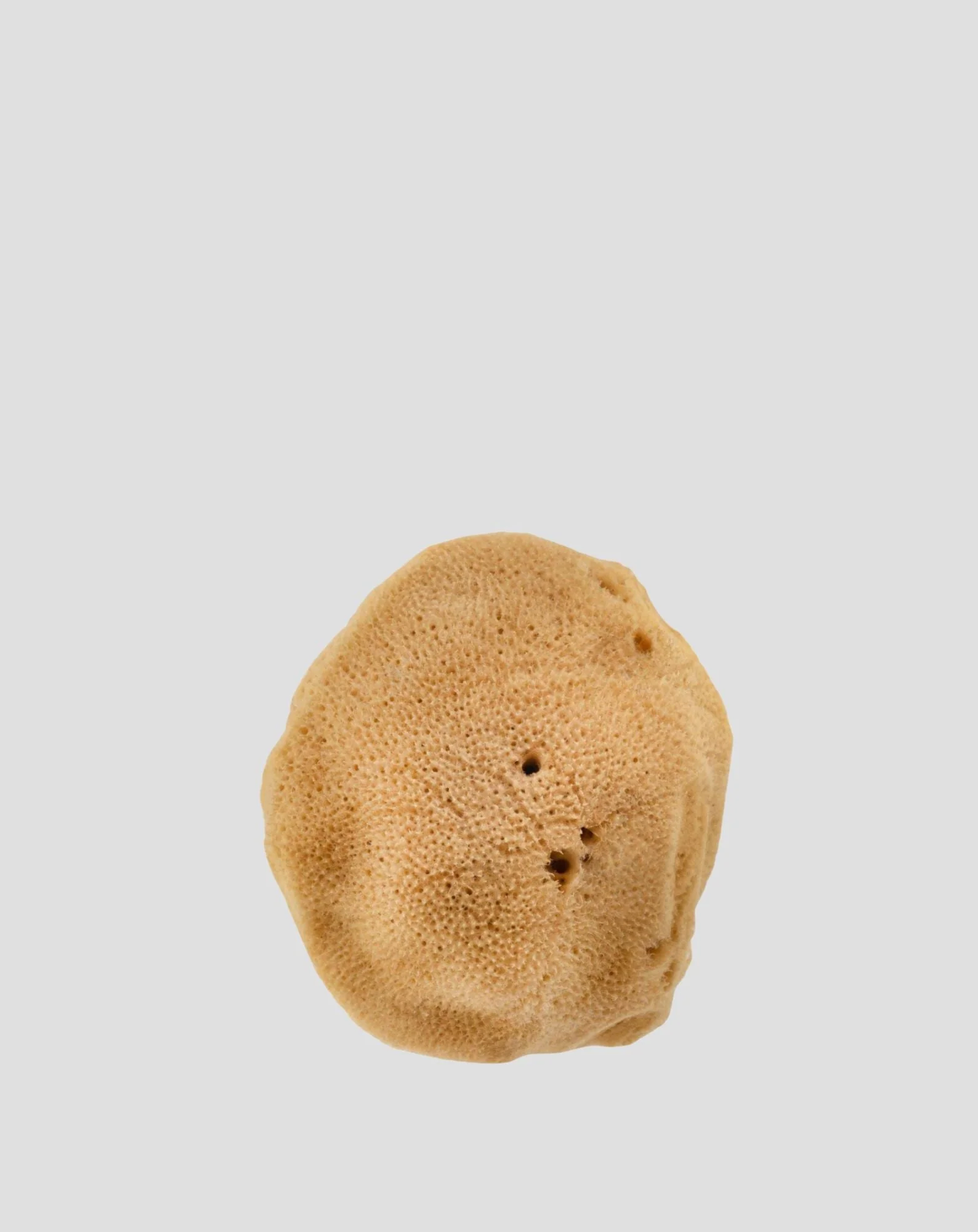 Éponge de mer naturelle brune 9,5 cm 02F hypoallergénique et antibactérienne Hhuumm - Image 3