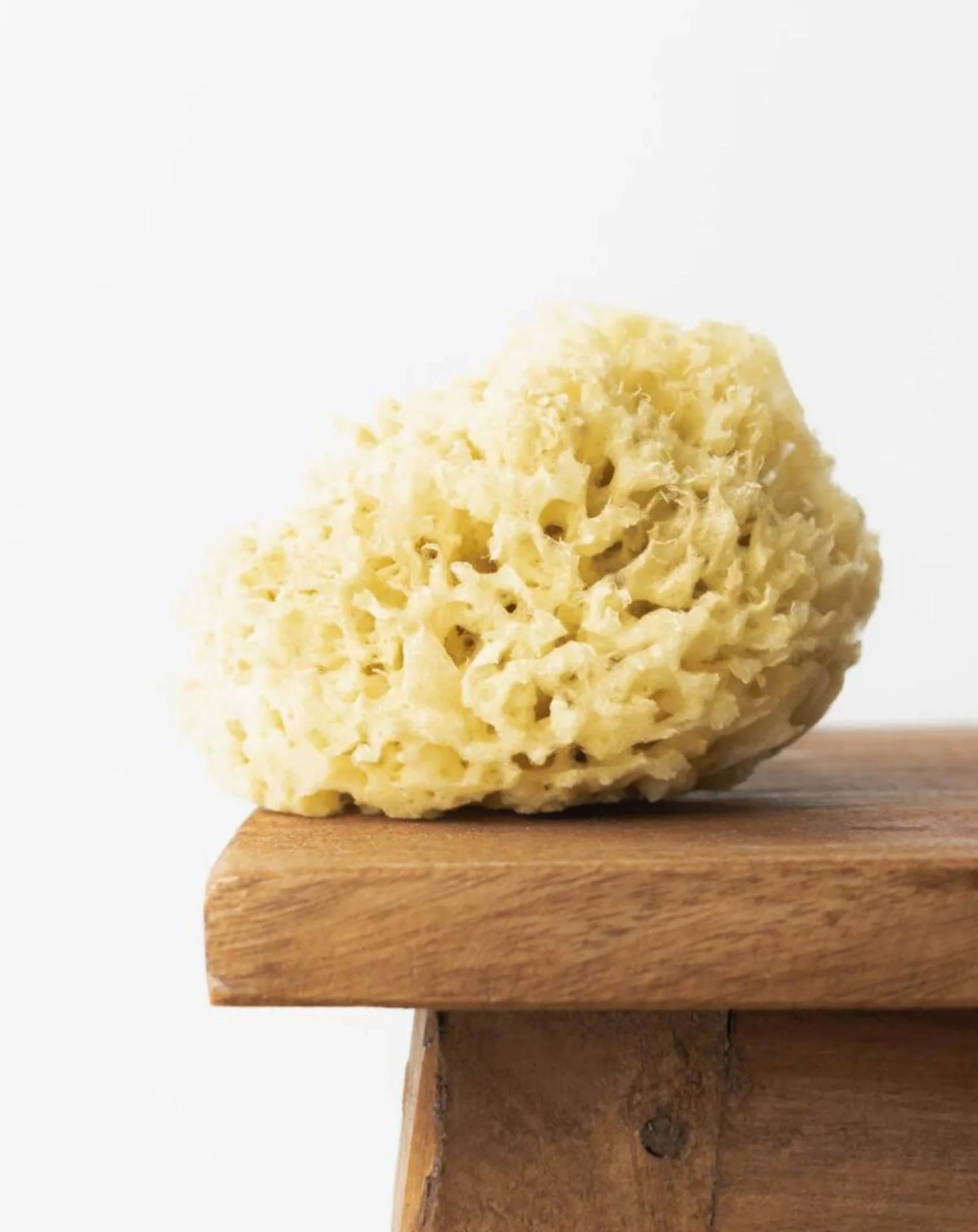 Éponge de mer naturelle jaune 12,5 cm O3H hypoallergénique et antibactérienne Hhuumm - Image 2
